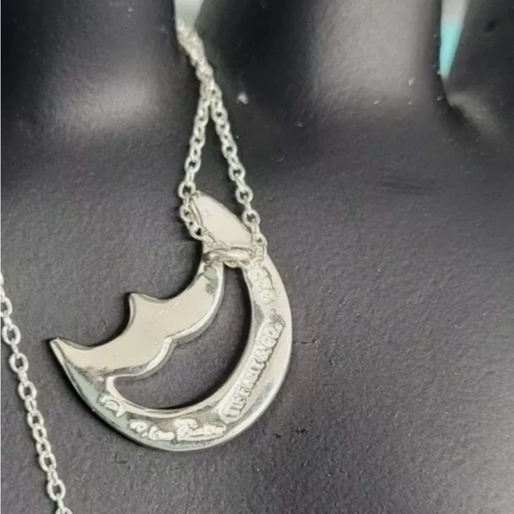 Tiffany & Co. Silver Moon Necklace - Picture 9 of 11